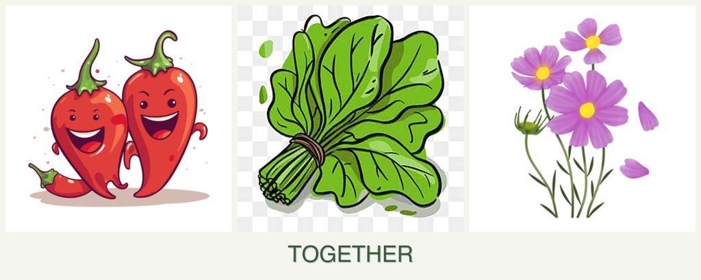 Can you plant peppers, spinach and cosmos together?