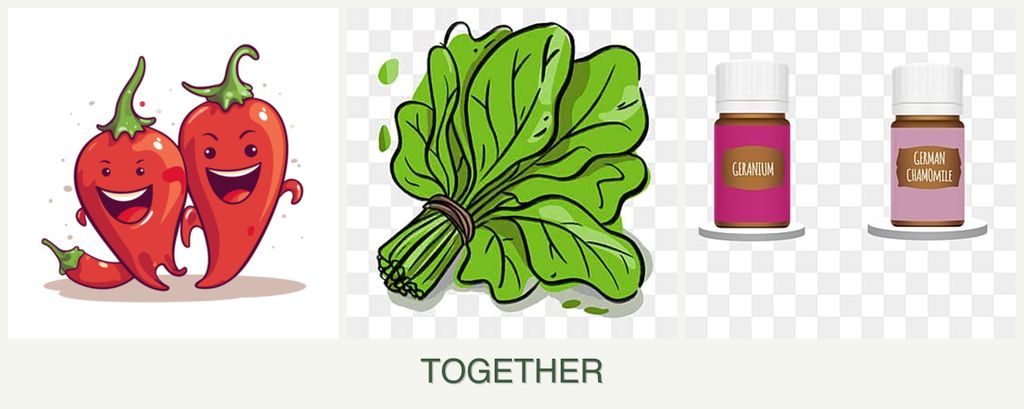 Can you plant peppers, spinach and geraniums together?