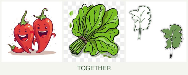 Can you plant peppers, spinach and kale together?