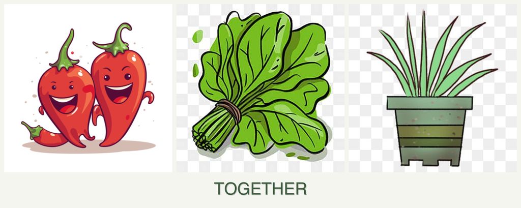 Can you plant peppers, spinach and lemongrass together?