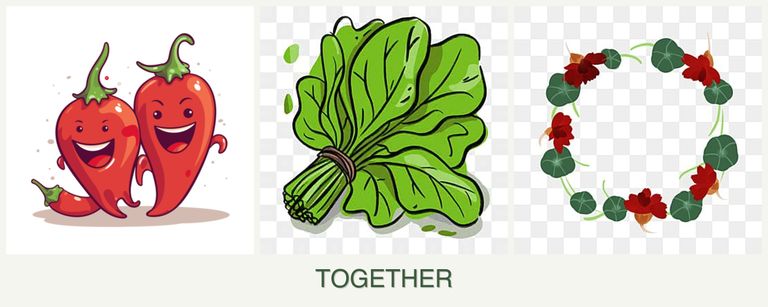 Can you plant peppers, spinach and nasturtiums together?