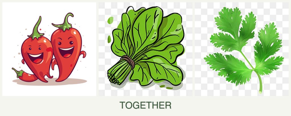 Can you plant peppers, spinach and parsley together?