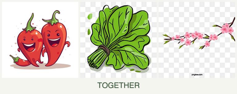 Can you plant peppers, spinach and peaches together?