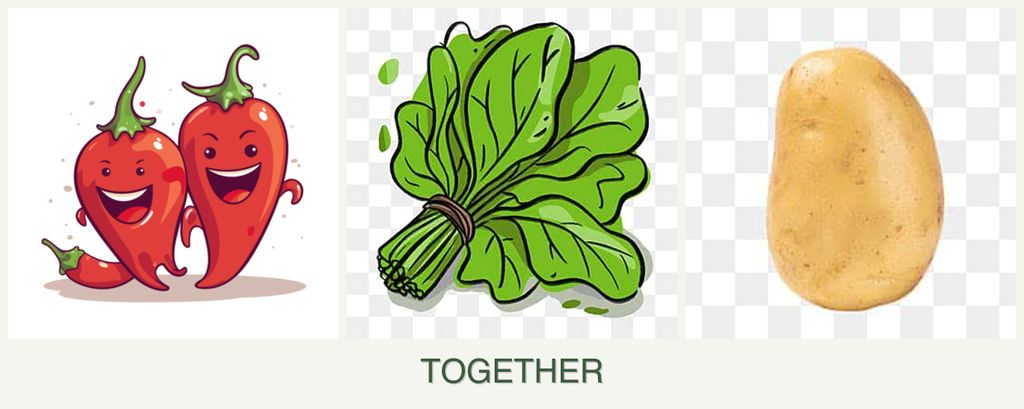 Can you plant peppers, spinach and potatoes together?