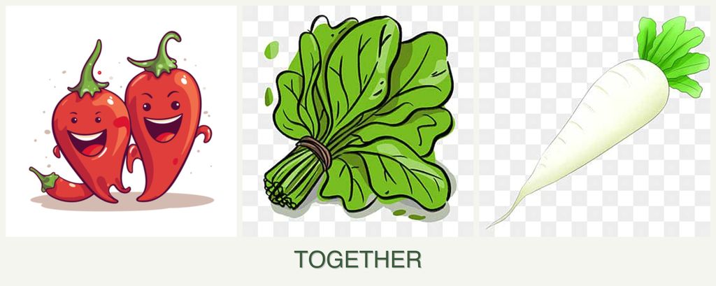 Can you plant peppers, spinach and radishes together?