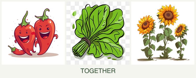Can you plant peppers, spinach and sunflowers together?