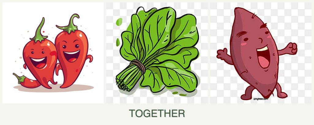 Can you plant peppers, spinach and sweet potatoes together?