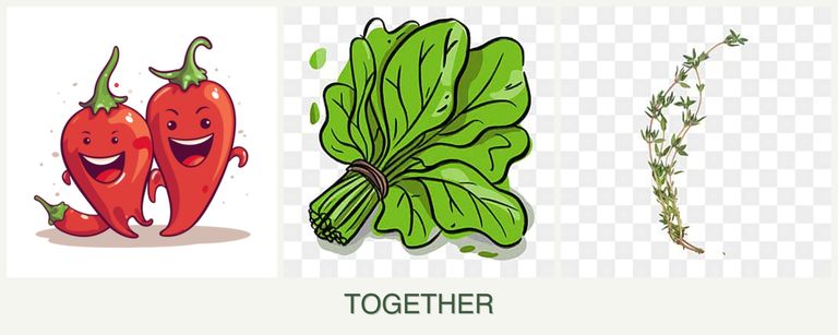 Can you plant peppers, spinach and thyme together?