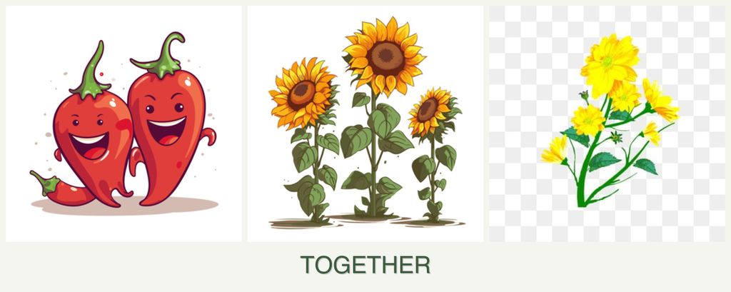Can you plant peppers, sunflowers and calendula together?