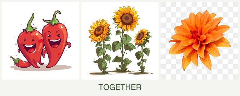 Can you plant peppers, sunflowers and dahlias together?