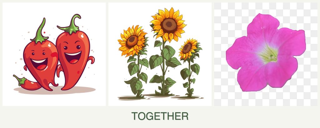 Can you plant peppers, sunflowers and petunias together?