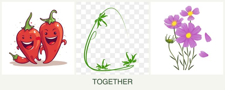 Can you plant peppers, tarragon and cosmos together?