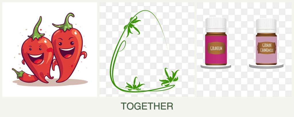 Can you plant peppers, tarragon and geraniums together?