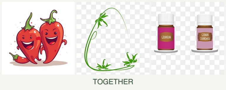 Can you plant peppers, tarragon and geraniums together?