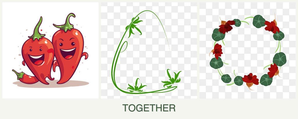 Can you plant peppers, tarragon and nasturtiums together?