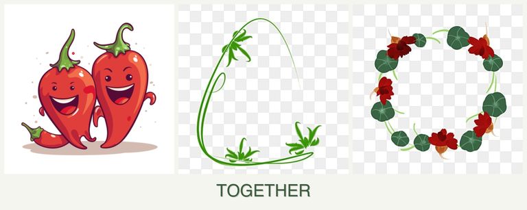 Can you plant peppers, tarragon and nasturtiums together?