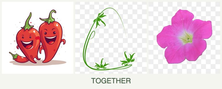 Can you plant peppers, tarragon and petunias together?