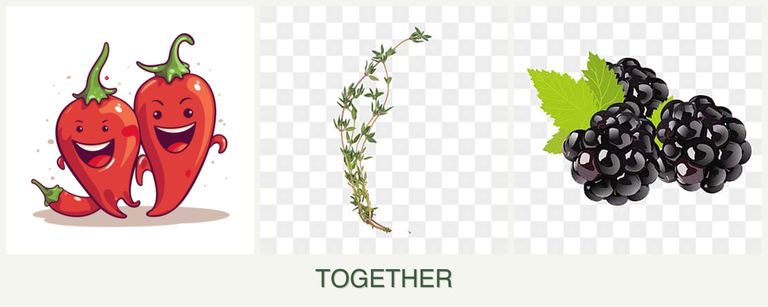 Can you plant peppers, thyme and blackberries together?