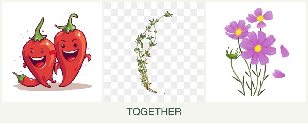 Can you plant peppers, thyme and cosmos together?