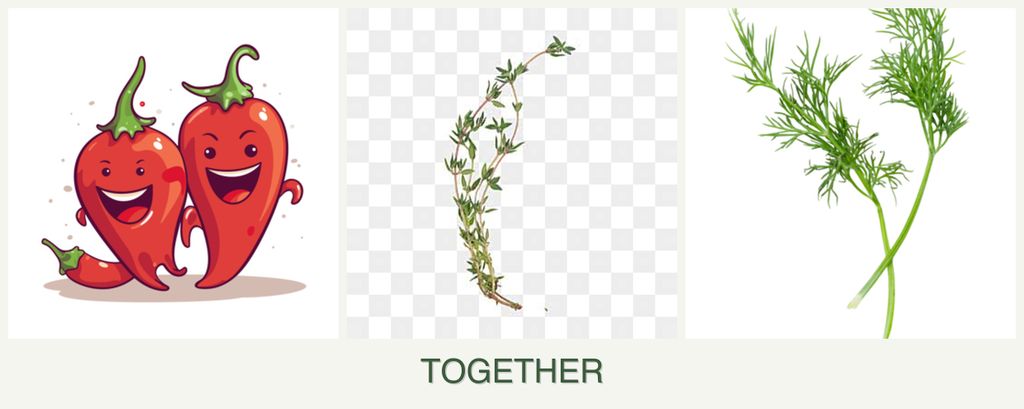 Can you plant peppers, thyme and dill together?