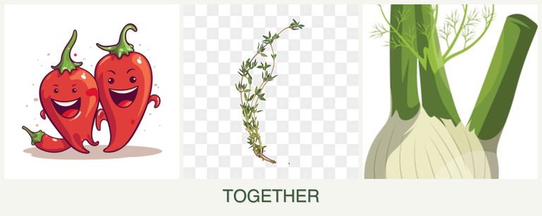 Can you plant peppers, thyme and fennel together?
