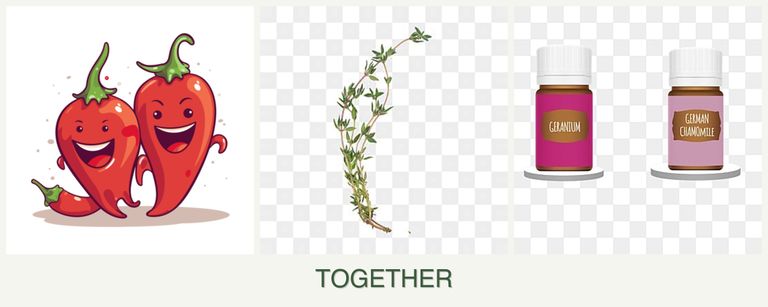 Can you plant peppers, thyme and geraniums together?