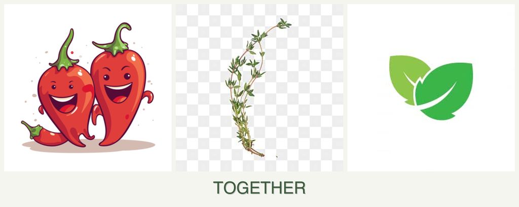 Can you plant peppers, thyme and mint together?