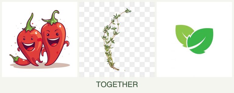 Can you plant peppers, thyme and mint together?