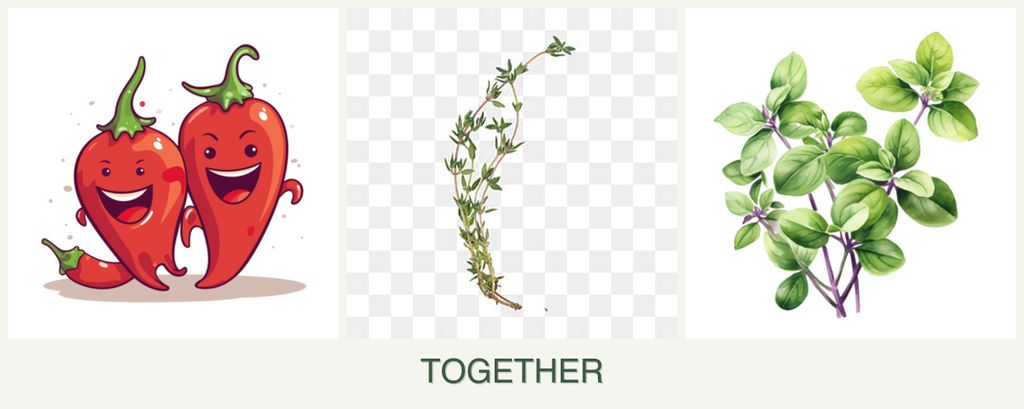 Can you plant peppers, thyme and oregano together?