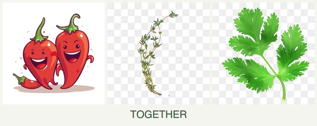 Can you plant peppers, thyme and parsley together?