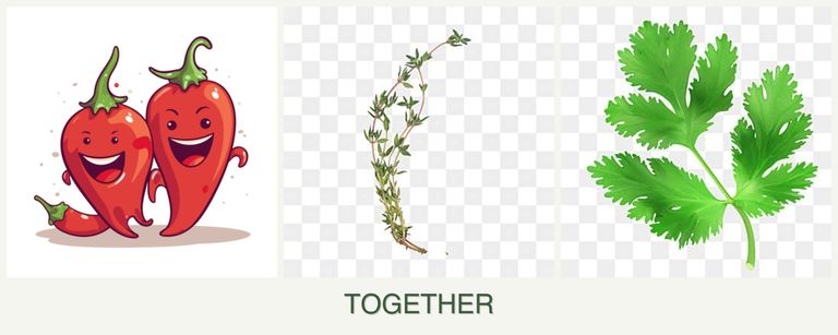 Can you plant peppers, thyme and parsley together?