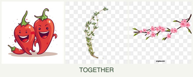 Can you plant peppers, thyme and peaches together?
