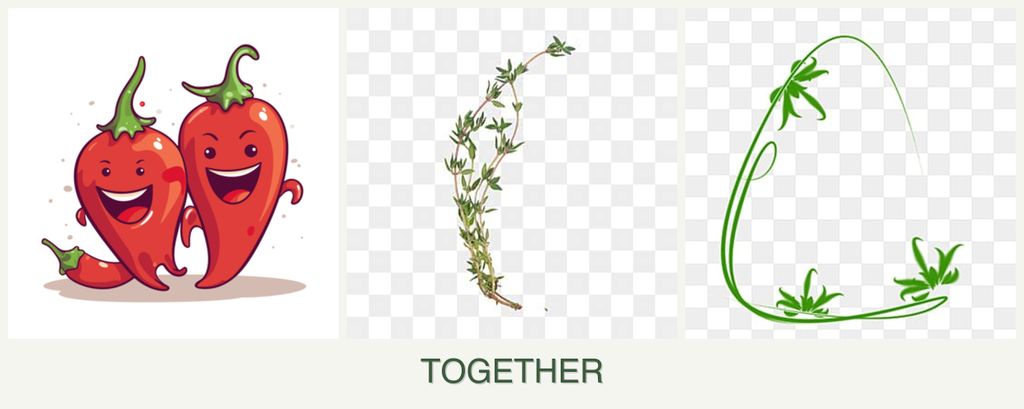 Can you plant peppers, thyme and tarragon together?