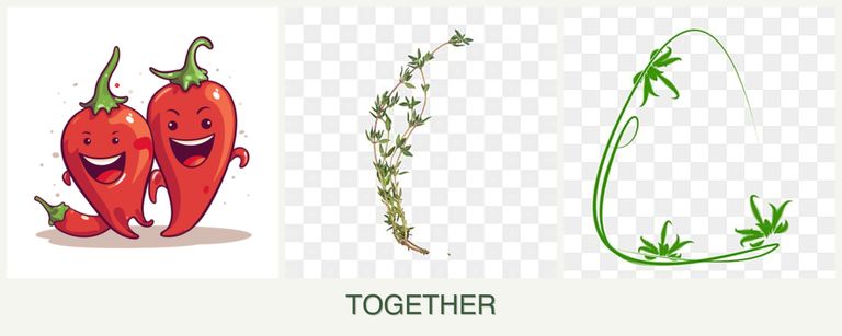 Can you plant peppers, thyme and tarragon together?