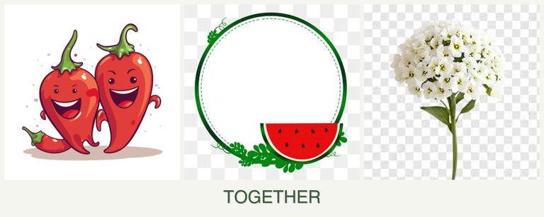 Can you plant peppers, watermelons and alyssum together?