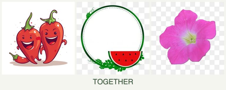 Can you plant peppers, watermelons and petunias together?