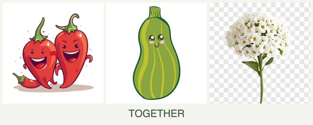 Can you plant peppers, zucchini and alyssum together?