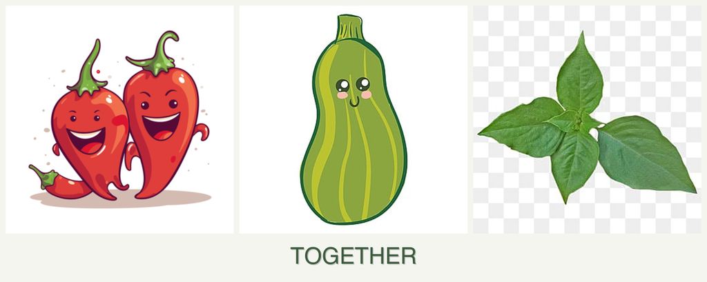 Can you plant peppers, zucchini and basil together?