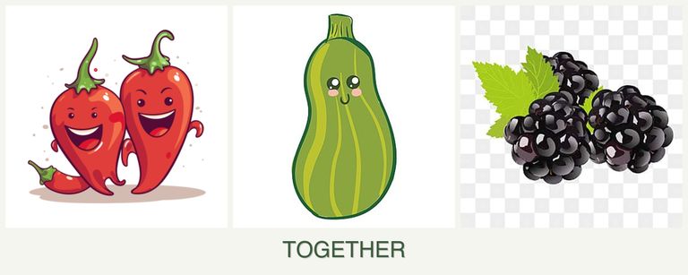 Can you plant peppers, zucchini and blackberries together?