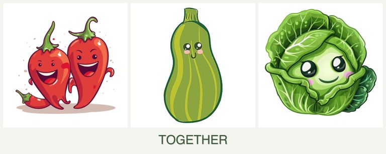 Can you plant peppers, zucchini and cabbage together?
