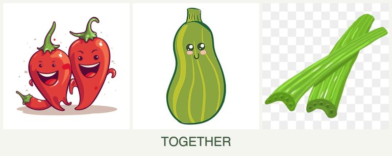 Can you plant peppers, zucchini and celery together?