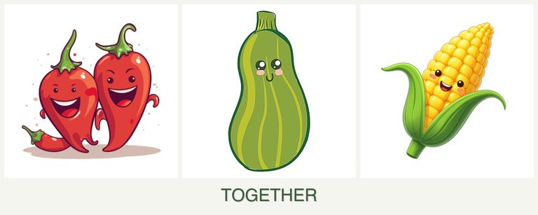 Can you plant peppers, zucchini and corn together?
