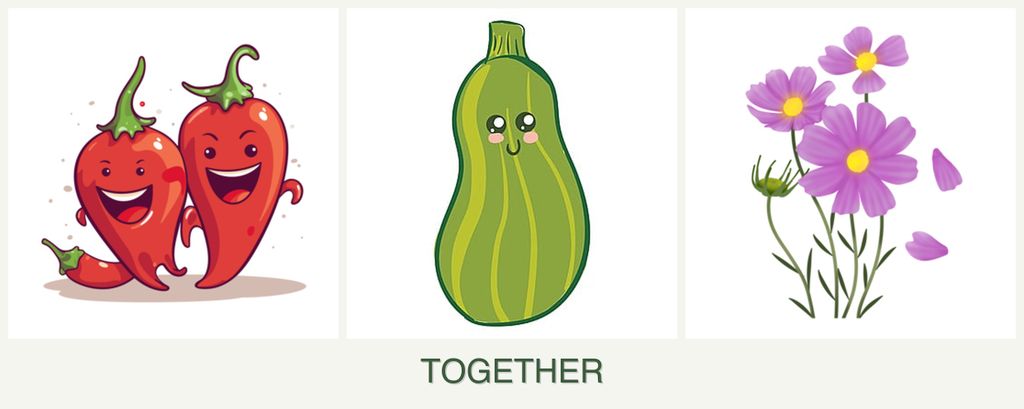 Can you plant peppers, zucchini and cosmos together?