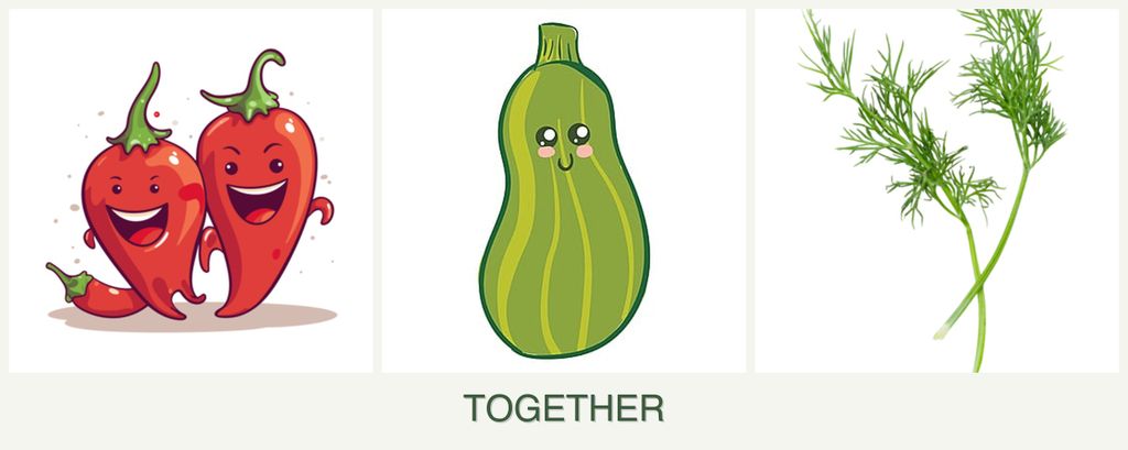 Can you plant peppers, zucchini and dill together?