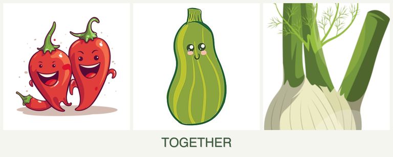 Can you plant peppers, zucchini and fennel together?
