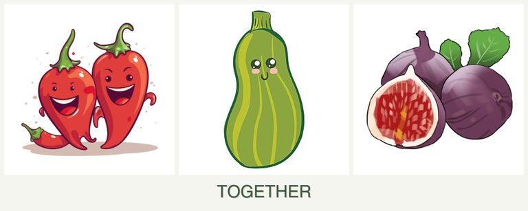 Can you plant peppers, zucchini and figs together?