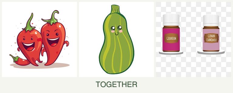 Can you plant peppers, zucchini and geraniums together?