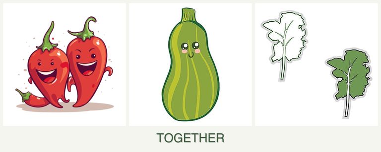 Can you plant peppers, zucchini and kale together?