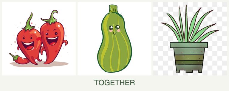 Can you plant peppers, zucchini and lemongrass together?