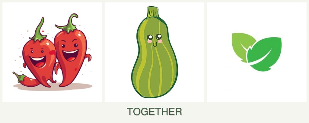 Can you plant peppers, zucchini and mint together?